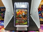 Mega Camerupt Ex