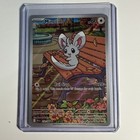 Minccino