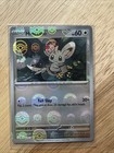 Minccino