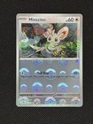 Minccino