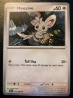 Minccino