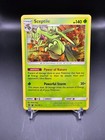 Sceptile