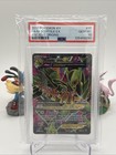 M Sceptile EX