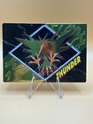 Thunder