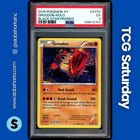 Groudon