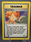 Misty's Tears