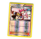 Pokemon Center Lady