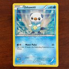 Oshawott