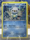 Oshawott