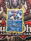 Feraligatr
