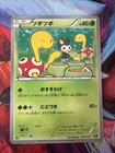 Shuckle