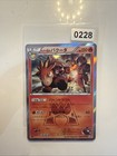 Team Magma's Camerupt