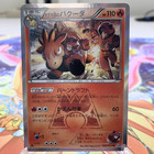 Team Magma's Camerupt
