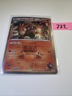 Team Magma's Camerupt