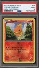 Torchic