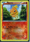 Torchic