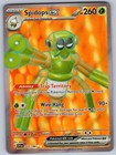 Spidops ex