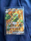 Spidops ex