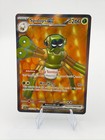 Spidops ex