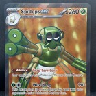 Spidops ex