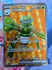 Spidops ex