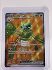Spidops ex