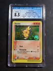 Torchic