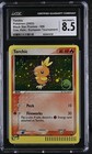 Torchic