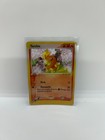Torchic