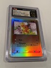 Torchic