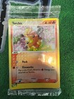 Torchic