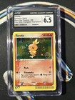 Torchic