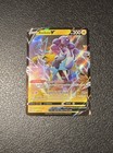 Raikou V