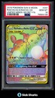 Raichu & Alolan Raichu GX