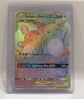 Raichu & Alolan Raichu GX