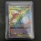Raichu & Alolan Raichu GX