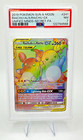 Raichu & Alolan Raichu GX