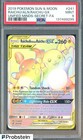 Raichu & Alolan Raichu GX