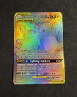 Raichu & Alolan Raichu GX