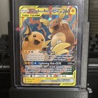 Raichu & Alolan Raichu GX
