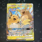 Raichu & Alolan Raichu GX