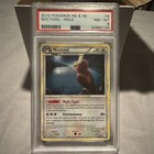 Noctowl