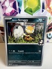 Marnie's Scraggy