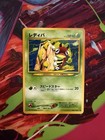 Ledyba