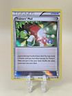 Trainers' Mail