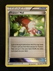 Trainers' Mail