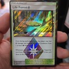 Life Forest