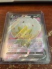 Eldegoss V