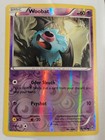 Woobat