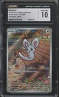 Minccino